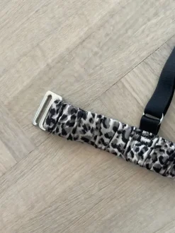 Bh leopard