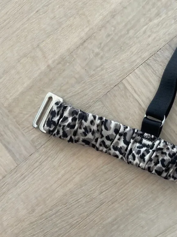 Bh leopard