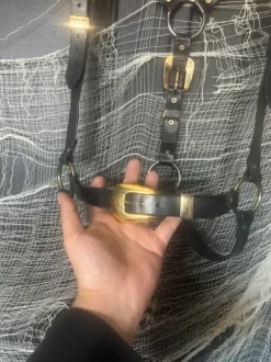 Black Leather harness gold buckles fetish
