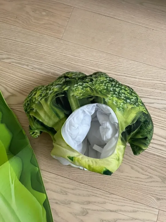 Broccoli costume
