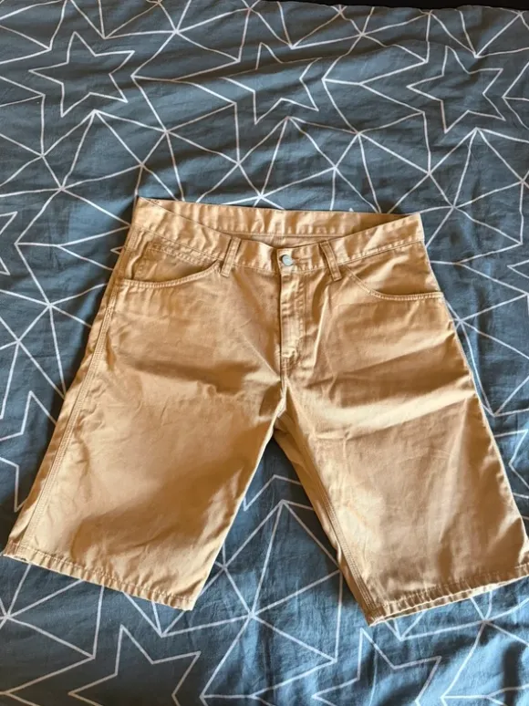 Carhartt shorts
