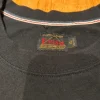 Evisu