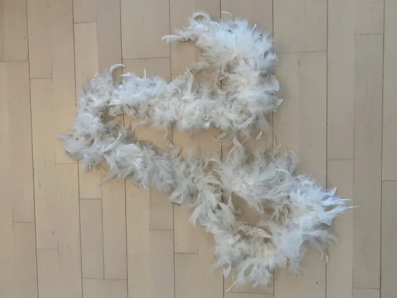 Feather boa
