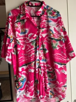 Hawaii skjorte + blomsterkranse