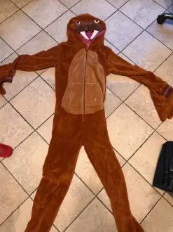 Hvalros coustume