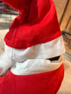 Julemands kostume