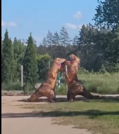 Kostium strój przebranie Pompowanego dmuchanego Giga dinozaura dla dorosłych i młodzieży