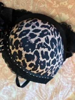 leopard bh