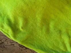 Onesies Pickle the dinosaur