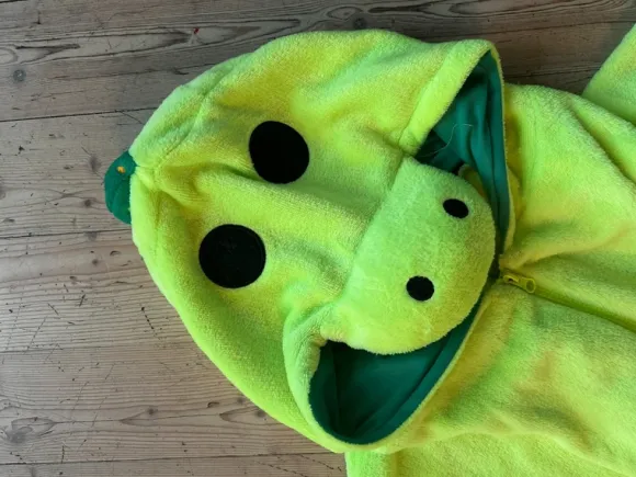Onesies Pickle the dinosaur