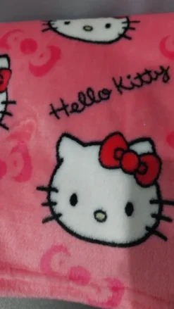 Pluszowy zestaw spodni hello Kitty pijamas dla par