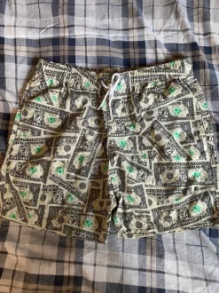 santa cruz badshorts