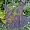 Sequin top