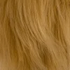Short blonde wig