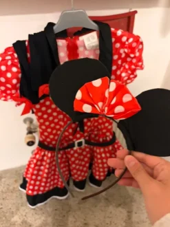 Sidste skoledag - Minnie mouse kostume