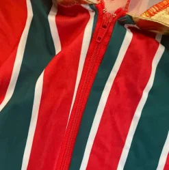 Udklædning: “Ziggy Stardust”